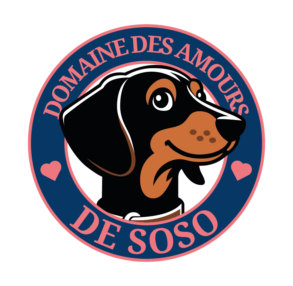 Logo Domaine des amours de soso